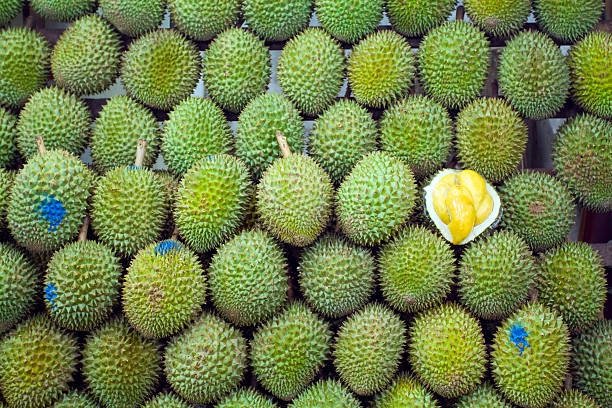 Experience the Unforgettable Taste of Premium Mao Shan Wang Durians